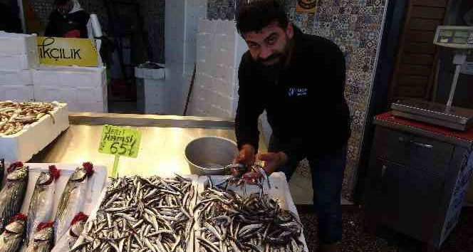 Karadeniz hamsisi tezgâhlarda yerini aldı