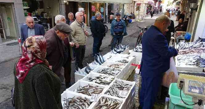 Karadeniz’de palamut bolluğu: Balıkçılarda kuyruk