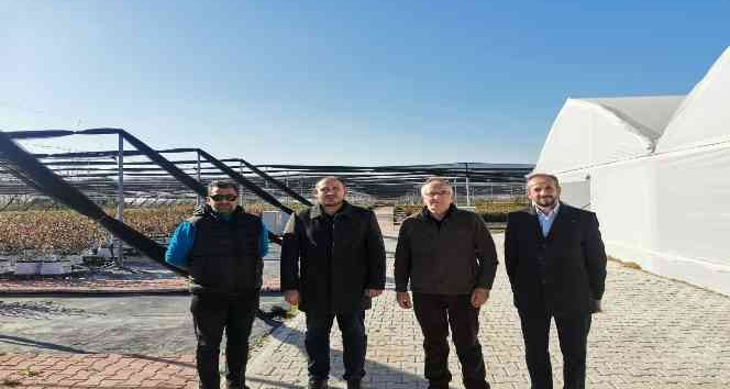 Yüzyılın sağlık meyvesi maviyemiş Sermayecik Köyünde üretilecek