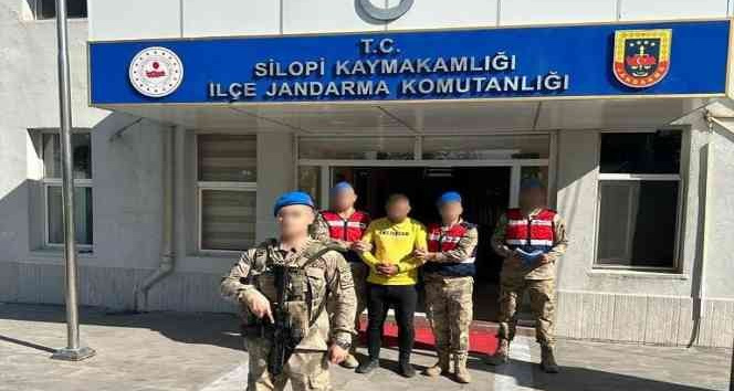 Şırnak’ta terör operasyonunda 1 tutuklama