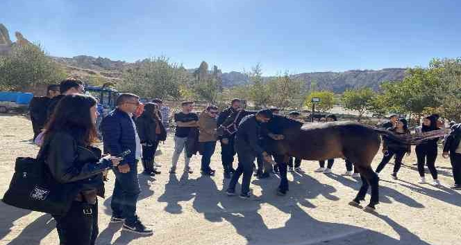 NEVÜ Tarım ve Hayvancılık bölümü öğrencileri At Çiftliği gezisine katıldı