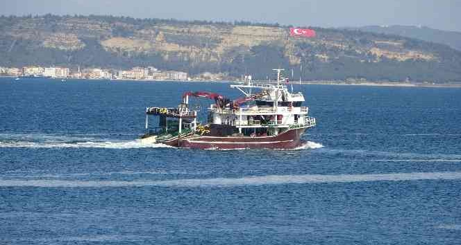 (Özel) Uzmanlarından flaş balık uyarısı