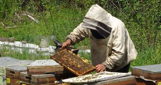 Çiftçi: “Sahte ballar arıcılık sektörünü tehlikeye düşürüyor”