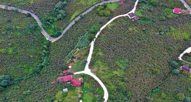 Başkan Tören: “Şehit ailemizin ve dezavantajlı vatandaşlarımızın ulaşım sorununu çözüme kavuşturduk”