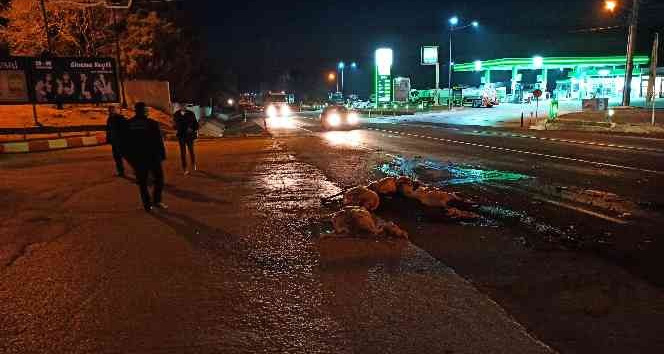 Otomobil koyun sürüsüne daldı