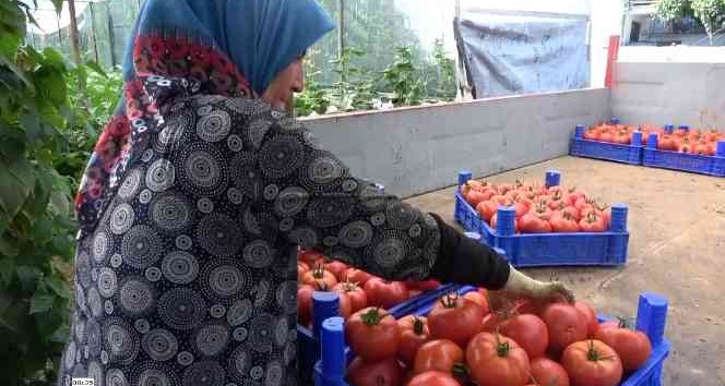 2 bin 500 nüfuslu köyün yüzde 90’ı tarımla uğraşıyor, hasat zamanı çevre köylerden işçi alıyor