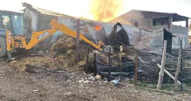 Çanakkale’de samanlık yangını: 6 inek telef oldu