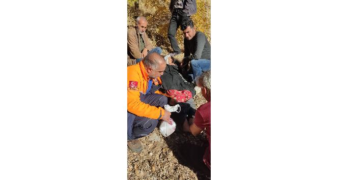 Bingöl’de kuşburnu toplanken kaybolan yaşlı kadın bulundu