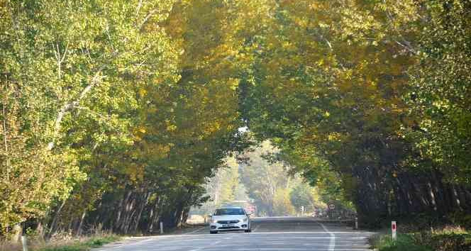 Ağaçların oluşturduğu sonbahar tüneli hayran bırakıyor