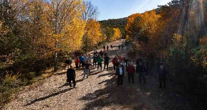 Akdağmadeni ormanlarında öğretmenler doğa yürüyüşü yaptı
