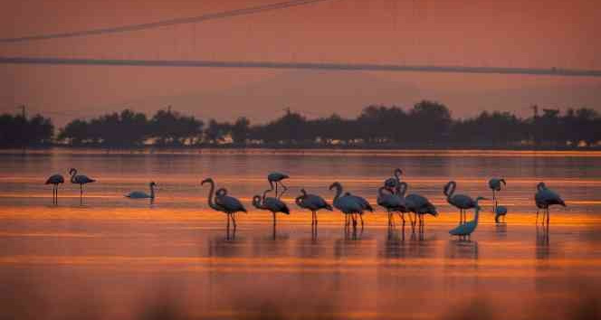 1915 Çanakkale Köprüsü’nde kartpostallık fotoğraflar