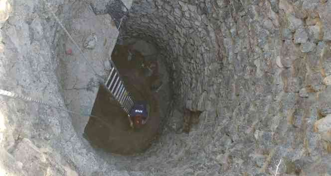 Kuyuya düşen köpeği AFAD kurtardı