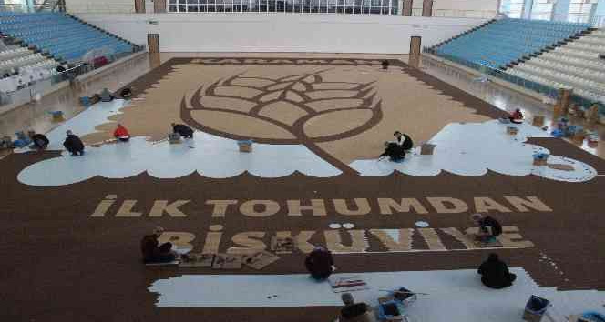 3 ton bisküviden yapılan dünyanın en büyük buğday başağı mozaiği tamamlanmak üzere