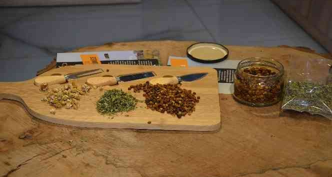 Beytüşşebap’ta kış öncesi meyveler kurutulup, salçalar yapıldı