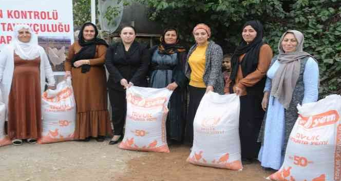 Cizre’de vatandaşa 2 bin tavuk, 24 bin ton yem dağıtıldı