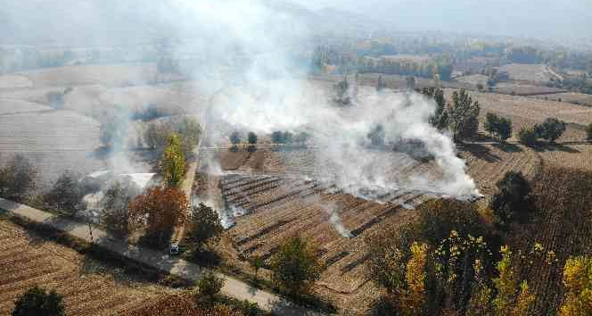 Mısır hasadı bitti, anız yangınları başladı