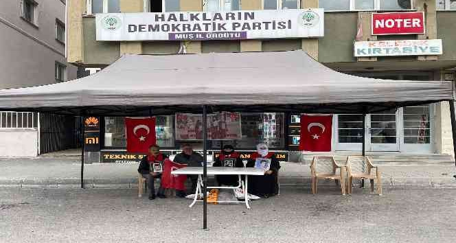 Muş’ta annelerin evlat nöbeti 81’inci haftaya girdi