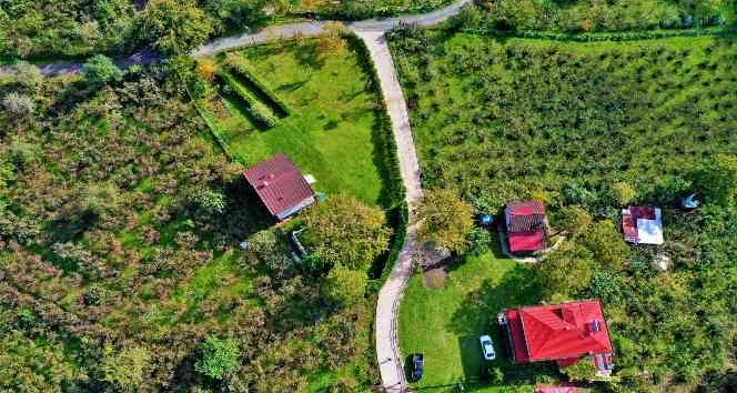 Altınordu’da beton yol çalışmaları sürüyor