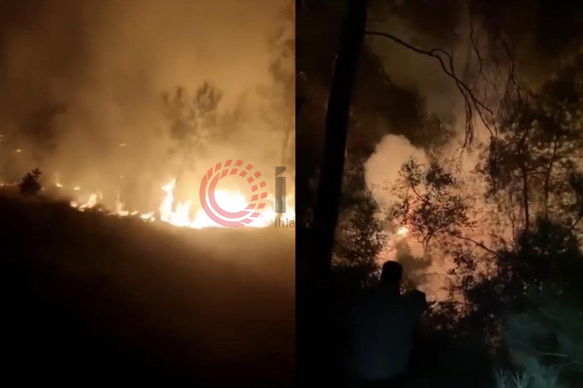 Bursa’da ormanlık alanda korkutan yangın