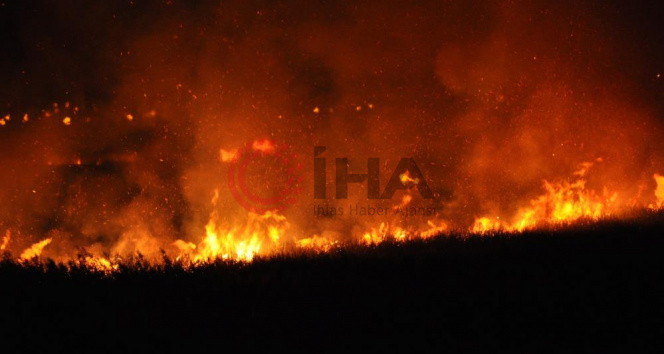Uluslararası koruma altında bulunan Göksu Deltasında yangın