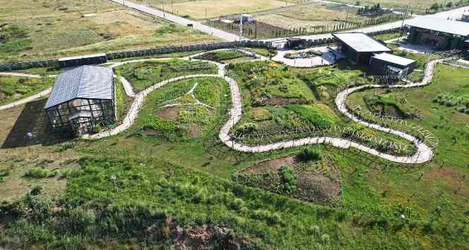 Hersek Lagünü Altınova’nın yeni turizm noktası oldu