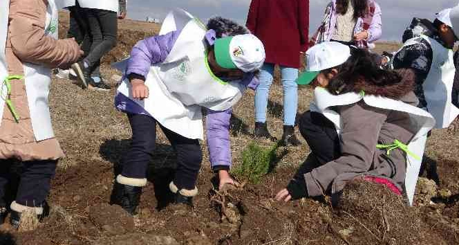 Ardahan’da binlerce fidan toprakla buluştu