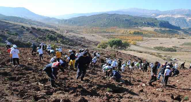 Eğirdir’de 2 bin fidan toprakla buluştu
