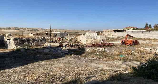 Dedektif gibi iz sürdü, kayıp babasının öldürüldükten sonra yakıldığını öğrendi