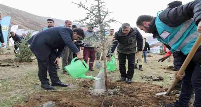 Bitlis’te 3 bin fidan dikildi