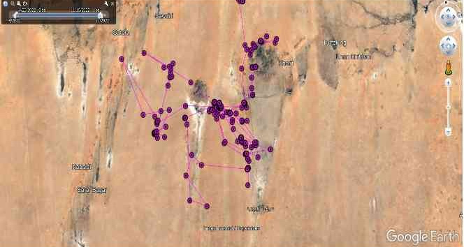 Iğdır’da yola çıkan bozkır kartalı Sudan’a ulaştı