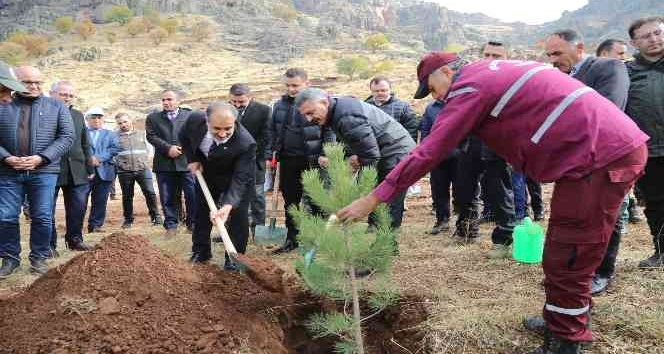 Tunceli’de 20 bin fidan toprakla buluşturuldu