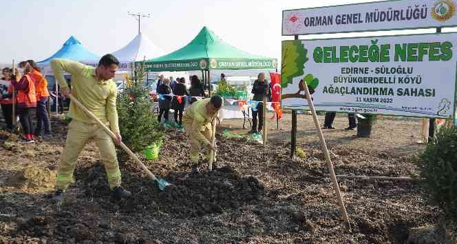 Edirne’de 8 ayrı noktada 32 bin fidan toprakla buluştu