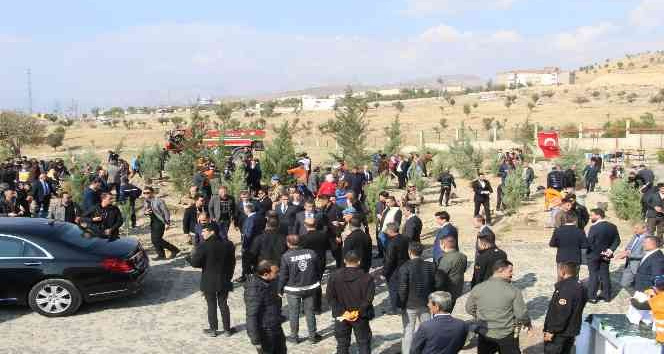 Şırnak’ta 60 bin fidan toprakla buluştu