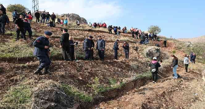 Tokat’ta, 8 bin fidan toprakla buluştu