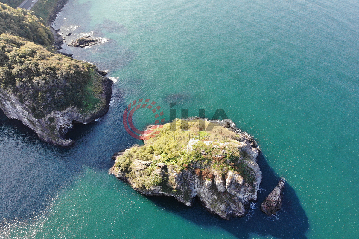 Ordu’nun kuş cenneti: Hoynat Adası