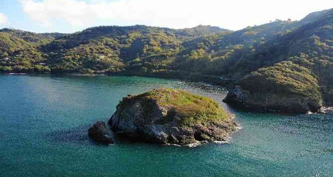 Ordu’nun kuş cenneti: Hoynat Adası