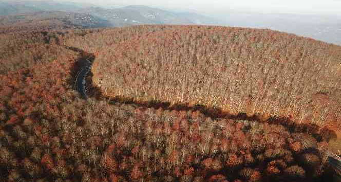 Perşembe Yaylası’nda sonbahar güzelliği