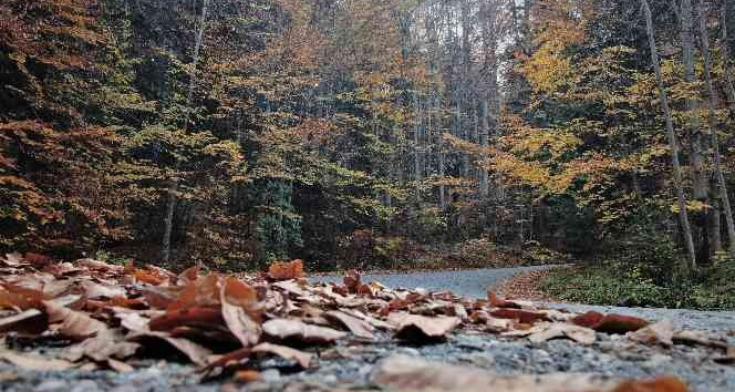 Yedigöller’de sonbahar kartpostallık görüntüler oluşturdu