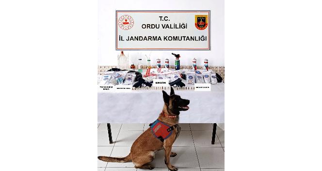 Ordu’da uyuşturucuya geçit yok