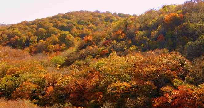 Dumanlı Yaylası’nın hayran bırakan sonbahar manzarası