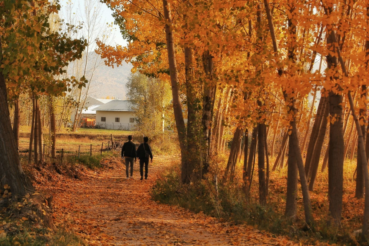 Kahramanmaraş’ta sonbahar renkleri