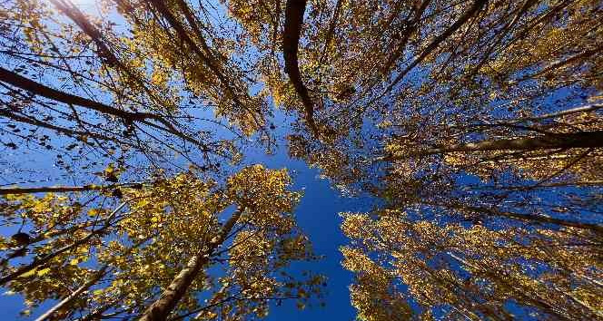 Karasu Çayı doğal güzelliyle renk cümbüşü oluşturdu