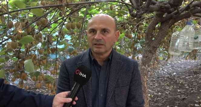 Yalova kivisi yurt dışı pazarına açıldı