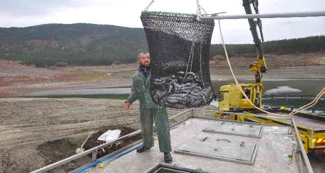 Tokat’tan Rusya’ya somon ihracatı