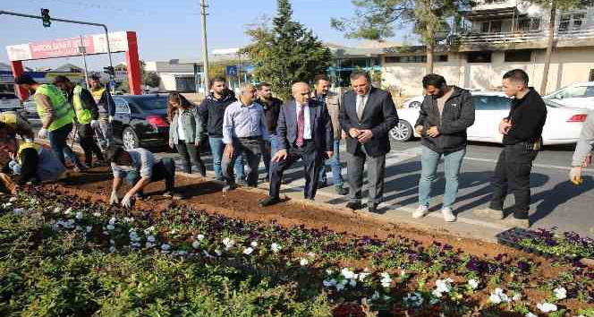 Mardin Büyükşehir Belediyesi, yeşil bir Mardin için çalışıyor