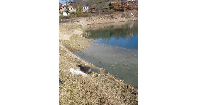 Alzheimer hastası yaşlı adamın cesedi gölette bulundu