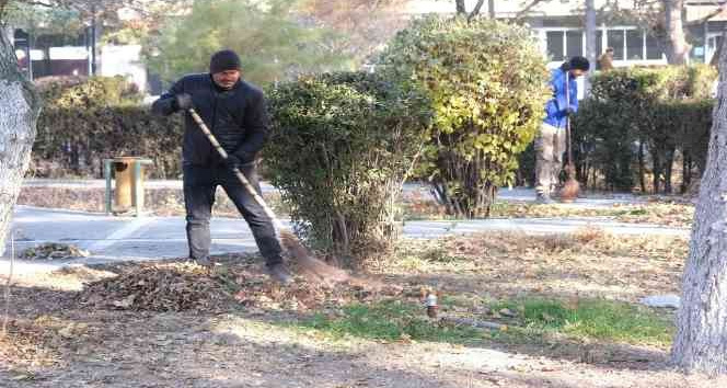 Sonbahar yaprakları toplanıp gübreye dönüştürülüyor