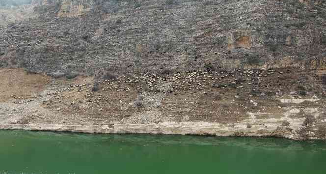 Siirt’te baraj suyu yolları kapattı
