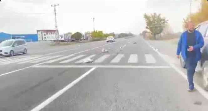 Iğdır’da otomobilin çarptığı kazlar telef oldu