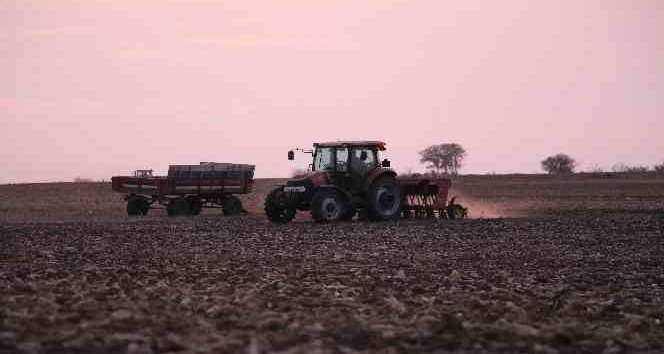 Edirne çiftçisi tarlalarda buğday ekimi mesaisini tamamladı